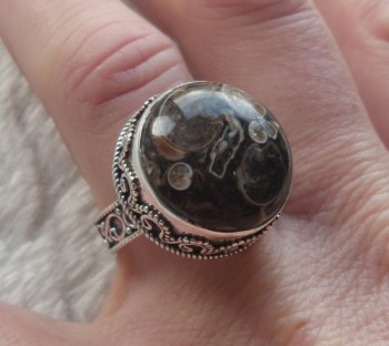 Zilveren ring ronde Turitella Agaat in bewerkte setting 17.5 mm